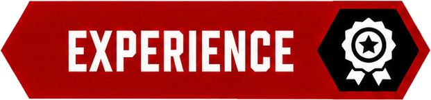 Experience